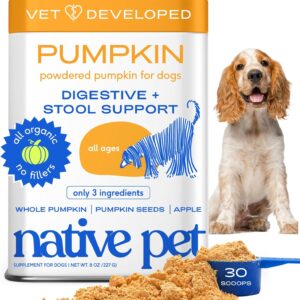 Native Pet Pumpkin for Dogs