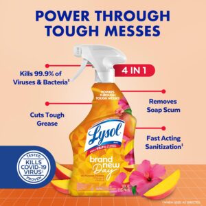 Lysol All Purpose Cleaner Spray